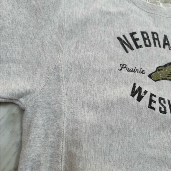 Champion Gray Nebraska Wesleyan Crewneck - Picture 2 of 4